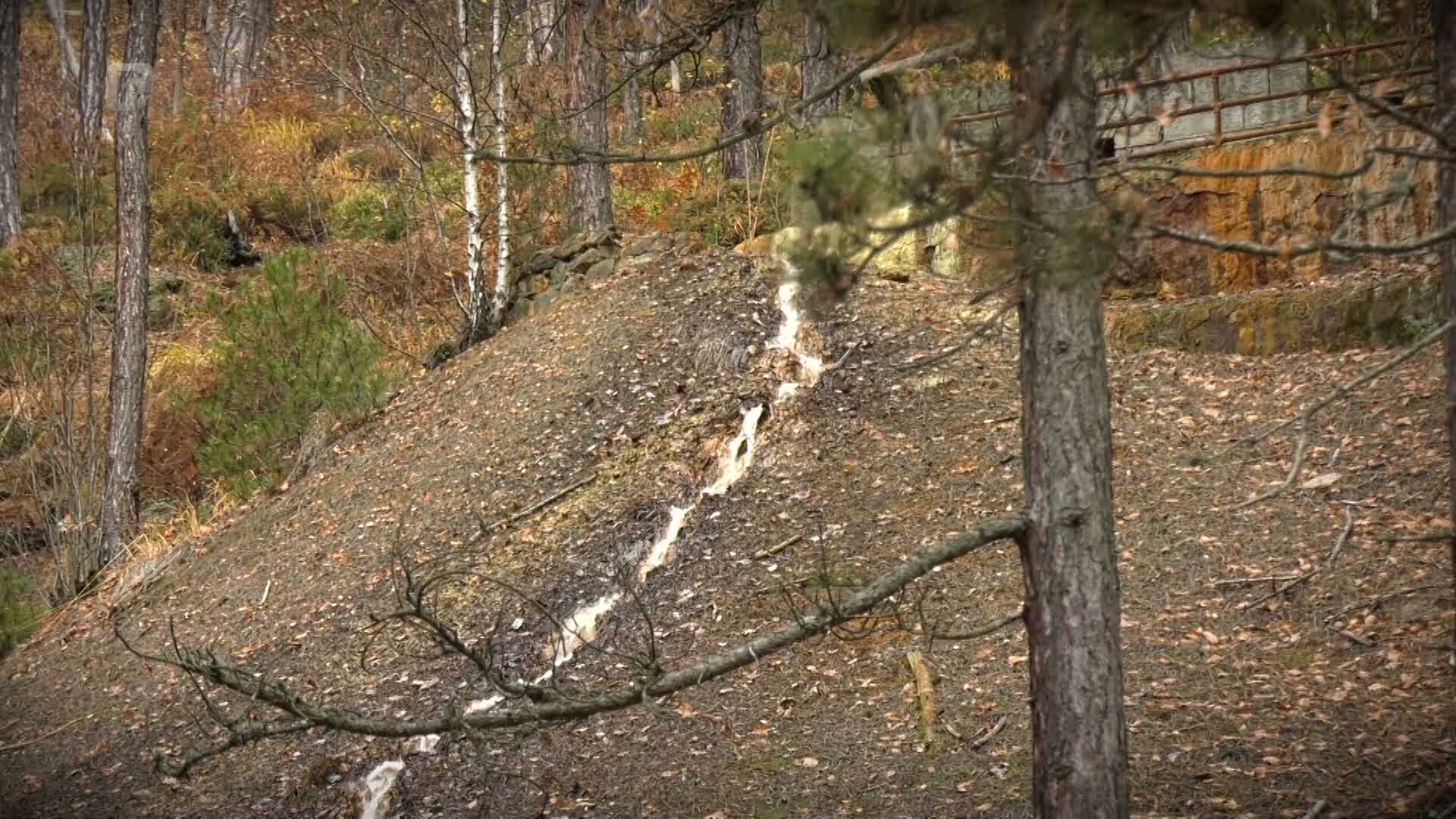 Grobar Radojica